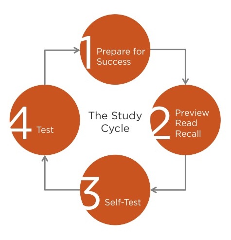 The Study Cycle